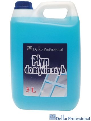 PŁYN DO MYCIA SZYB